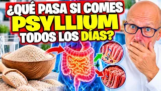 ¿QUÉ PASA SI COMO🌿 PSYLLIUM TODOS LOS DÍAS? BENEFICIOS, CÓMO TOMARLO Y CONTRAINDICACIONES