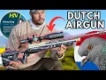 Download Lagu Dutch Airgun Expert Reveals Surprising Bird Hunting Techniques