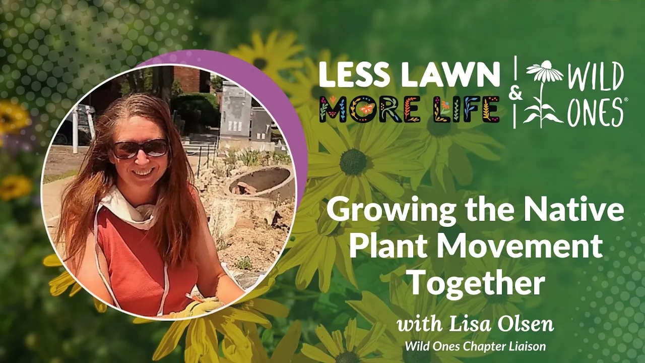 Growing the Native Plant Movement Together - Less Lawn, More Life Challenge 2025