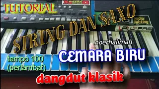 Download STRING Dangdut CEMARA BIRU. Noer halimah. Cover elekton PUTRA JAYA wajak MP3