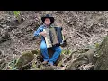 Download Lagu Xodozinho Sanfonando - Arranjos de Gino e Geno e Trio Parada Dura