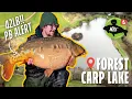 Download Lagu Cara Mendekati Perairan Baru untuk Sukses Memancing Ikan Mas 🐟💥 (Peringatan PB!🚨)
