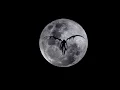 Download Lagu Death Note - Ryuk Theme A - Music (Looped)