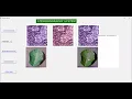 SECURED COMMUNICATION OF TEXT AND USING IMAGE STEGANOGRAPHY Python Projects