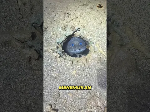 Dikira Sudah Mati, Ternyata Ikan ini...