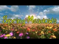 Download Lagu Valley of dreams Relax  Music. #relaxing#music#spring