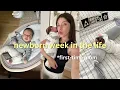 Lagu realistic week in the life with a newborn: 6 WEEKS OLD, first-time mom