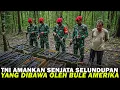 Download Lagu TNI AMANKAN SENJATA SELUNDUPAN UNTUK KKB‼️PELAKUNYA TERNYATA..