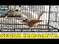 Download Lagu UPDATE HARGA BURUNG SRDC GACOR PRESTASIAN DI JAKARTA