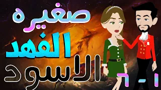 صغيره الفهد الاسود مجمع حلقات 1 6 قصص حب قصص عشق حكايات توتا و ماجى 