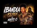 UNRELEASED | Nasty C - Ibandla Remix 