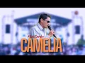 Download Lagu CAMELIA - NADI BARAKA |  Mardatila Group