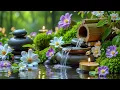 Download Lagu Relaxing Sleep, Study \u0026 Calming Deep Relaxation with Relaxing Sleep Music, Bamboo Water Sound 🍃