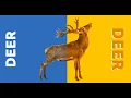 Deer animal bodyparts matching fun for kids Animals