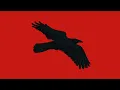 Interface Episode 20 All That Perish