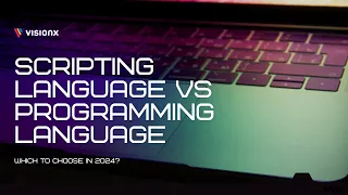 Scripting Language vs Programming Language VisionX