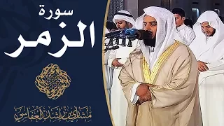 سورة الزمر 1429هـ مشاري راشد العفاسي 