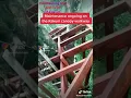 Download Lagu How kakum canopy walkway platform is being repaired every 6 month