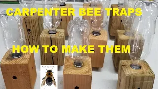CARPENTER BEE TRAPS How to make them and where to hang them Simple setup