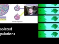 Genetic Drift