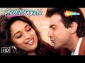Download Lagu Phool Mangu Na Bahar Mangu | Madhuri Dixit \u0026 Sanjay Kapoor | Alka Yagnik Hit Love Songs | Raja Songs