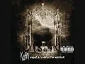 Korn - Counting On Me