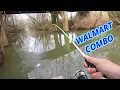 The GREEN ROD is BACK Walmart Lews Combo
