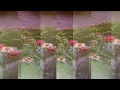 Caroline Spence -  I Know You Know Me [with Matt Berninger] (Official Audio)