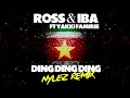 Ross \u0026 Iba Ft Yakki Famirie - Ding Ding Ding (Nylez Remix)