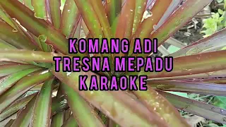 Download komang adi-tresna mepadu (karaoke) MP3