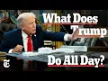 Inside Trump s Royal Court The Ezra Klein Show