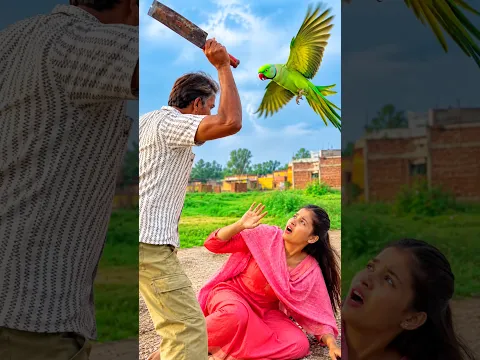 Part-1🥹तोते की दोस्ती😮 #parrot #dosti #viral #video 😍#trending #parrots #shorts #dosti