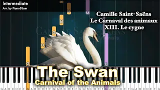Intermediate The Swan Carnival Of The Animals By Camille Saint Saën Piano Tutorial 