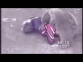 Download Lagu Khabib Nurmagomedov vs. Bear