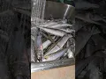 Download Lagu fresh catch mackerel  #mackerelfishing #shorts #short #shortsyoutube #shortvideos