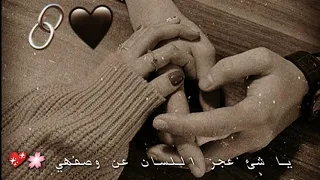 أحببتكي وصرتي وحدك تملكي            دندنها