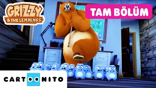 Kurt-Lemming | GRIZZY VE LEMMINGLER | TAM BÖLÜÖ | @CartoonitoTurkiye
