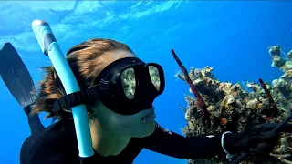 from SEA to TABLE: Spearfishing Dinner on a Sailboat!
