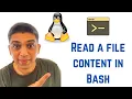 Shell Scripting Tutorial for Beginners - Read a file content in Bash