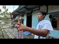 Download Lagu PADAHAL MOK NGENE TOK TAPI YO PANGGAH DI SENENI AE KARO LEK DAMIS ! 🤤🤯😢