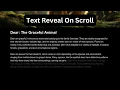 CSS Only Scroll Animation Text Reveal Effect on Scroll No JavaScript Needed