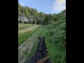 Download Lagu 28-07-2025 De laatste rit van James en mij. Samen naar het Annabos.