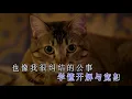 陳奕迅 Eason ─《苦瓜》Wild West KTV