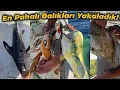 Download Lagu DENİZLERİN EN PAHALI BALIKLARINI YAKALADIK! | HEM KILIÇ BALIĞI PARAGATI HEM DE AĞ ÇEKTİK!