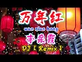 DJ【Remix 新年歌 2024】万年红【李采霞】wan nian hong - 新年歌曲2024@NiceMusicBox