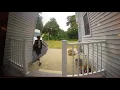 Fedex Driver Hitting Mailbox 7 3 2020
