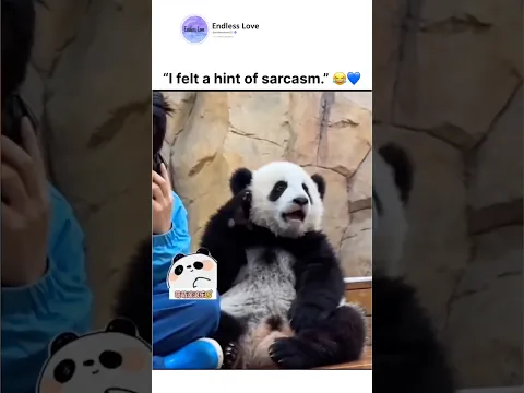 “I felt a hint of sarcasm.” 💙😂