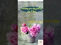 Good Morning GIF Happy Tuesday