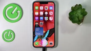 How To Use Siri On The IPhone 14 Series Device Plus Pro Pro Max 