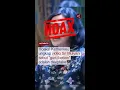 Download Lagu Hoaks! Video Sri Mulyani sebut \